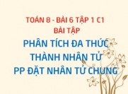 Bài tập phân tích đa thức thành nhân tử bằng phương pháp đặt nhân tử chung - Toán 8 bài 6 tập 1 chương 1